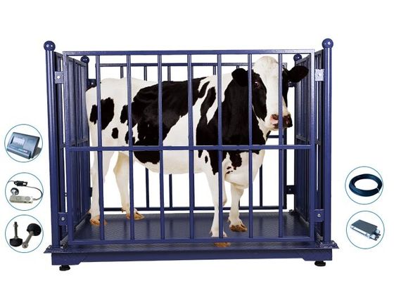 2M Livestock Weighing Scales, machine de poids de la vache 2000Kg